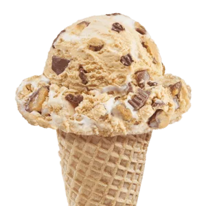 Wisconsin Campfire S'Mores Ice Cream in a cone