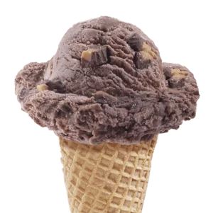 Elephant Tracks Ice Cream in a cone