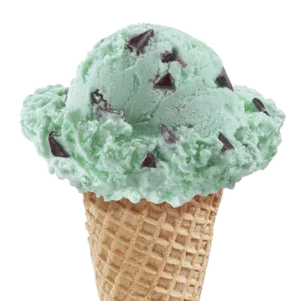 Mint Chocolate Chip Ice Cream in a cone