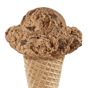 Mississippi Mud Ice Cream in a cone