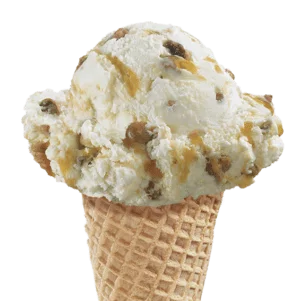 Praline Pecan Ice Cream in a cone