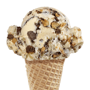 Van'Elephant Tracks ice cream in a cone