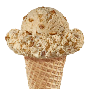 Product Image Featuring a Scoop of Black Walnut Ice Cream in a Cone