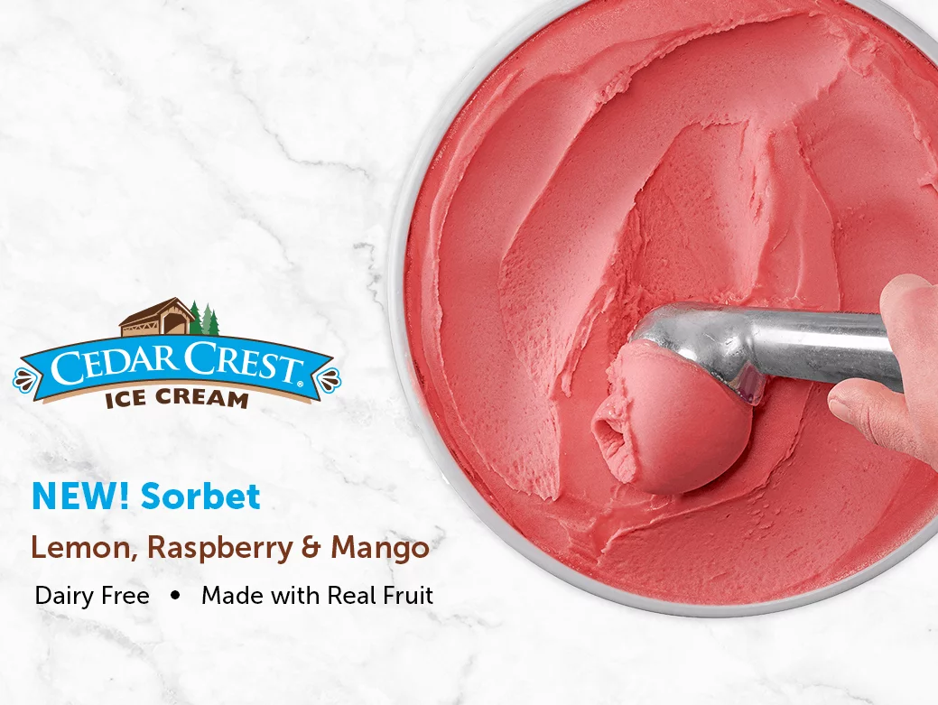sorbet blog post